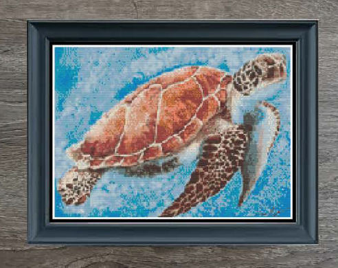 Sea Turtle In Color